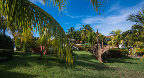 Hotel Ficha