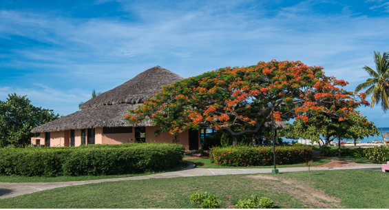 Hotel Ficha