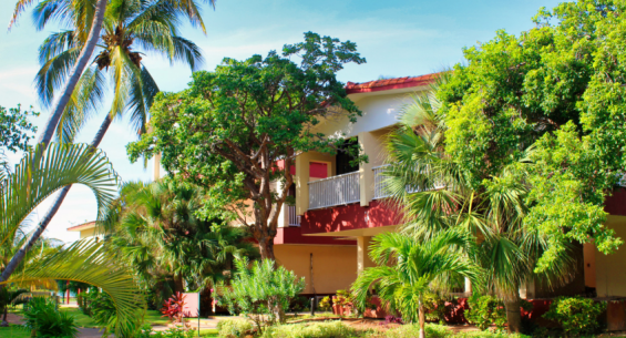 Hotel Ficha